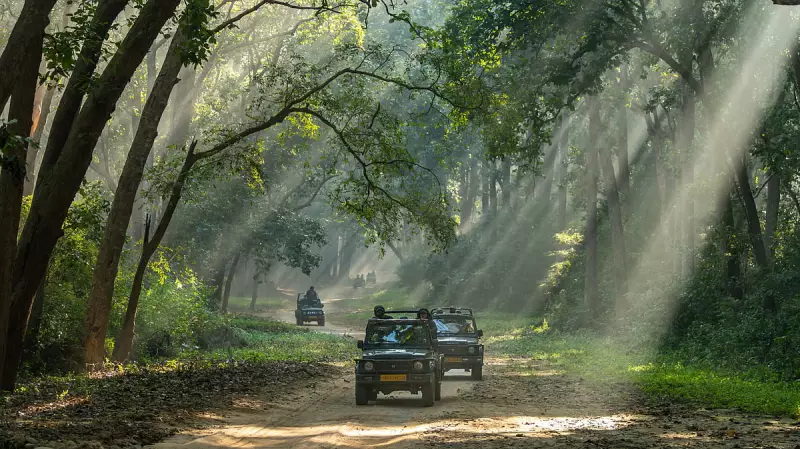 Supreme Court Orders Uttarakhand to Restore Jim Corbett Tiger Reserve