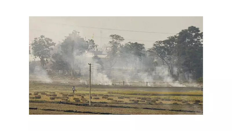 Supreme Court to Hear Stubble Burning Plea on Nov 17 Amid Delhi Pollution