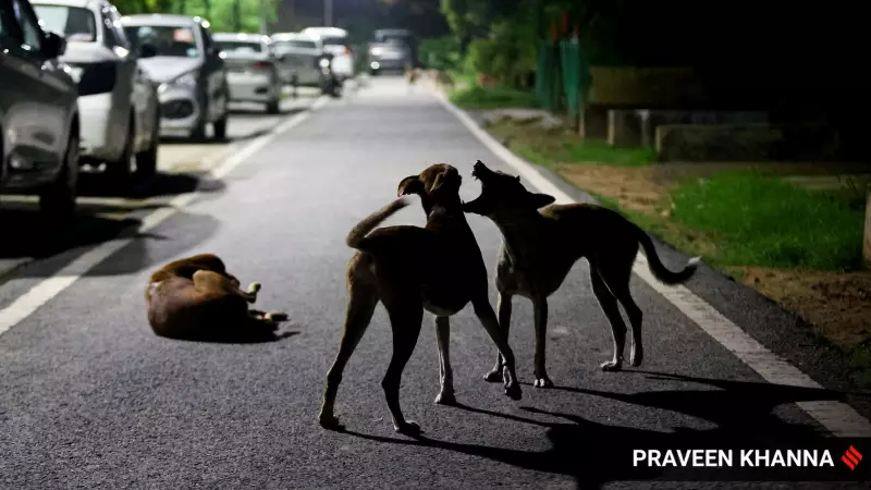 Supreme Court's Shift: From Expert-Led Rulings to Judicial Intuition in Stray Dogs, Aravalli Cases