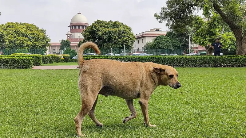 Supreme Court's Stray Dog Ruling Sparks Legal Debate Over Animal Welfare