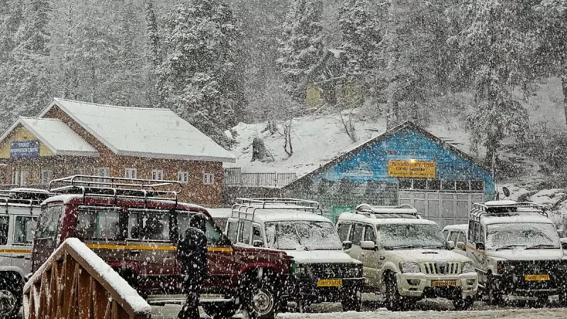 Tabo and Gulmarg Record Year's Coldest Night, Fresh Snowfall Hits Himachal