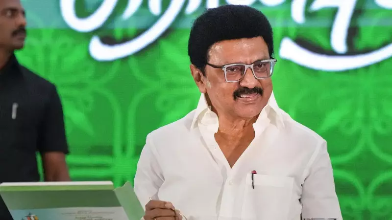 Tamil Nadu CM Stalin Predicts DMK-Led Alliance Will Win Over 200 Assembly Seats