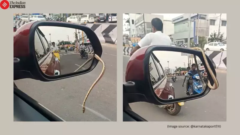 Tamil Nadu Driver Finds Snake in Car Mirror on Namakkal-Salem Road