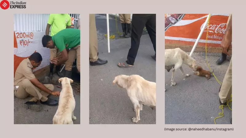 Tamil Nadu Police Rescue Puppy from Pit as Mother Dog Watches