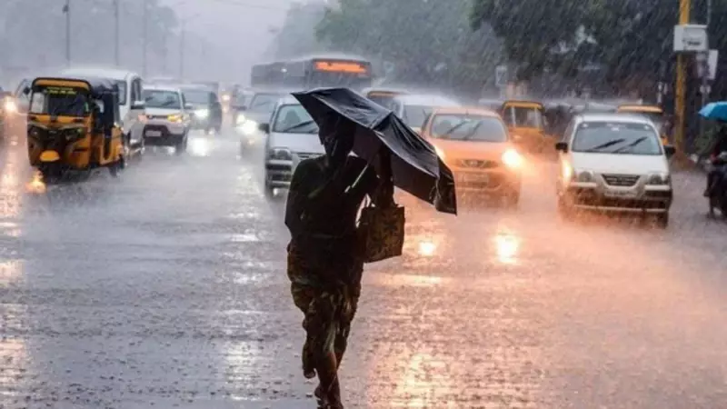 Tamil Nadu Weather Alert: Heavy Rain Forecast from Nov 21-26