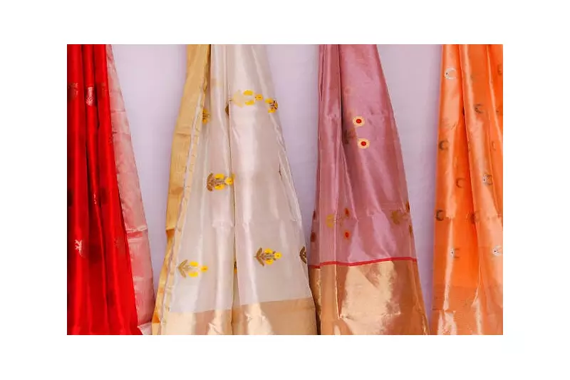 The Sari's Journey: More Than Fabric, It's a Tapestry of Life