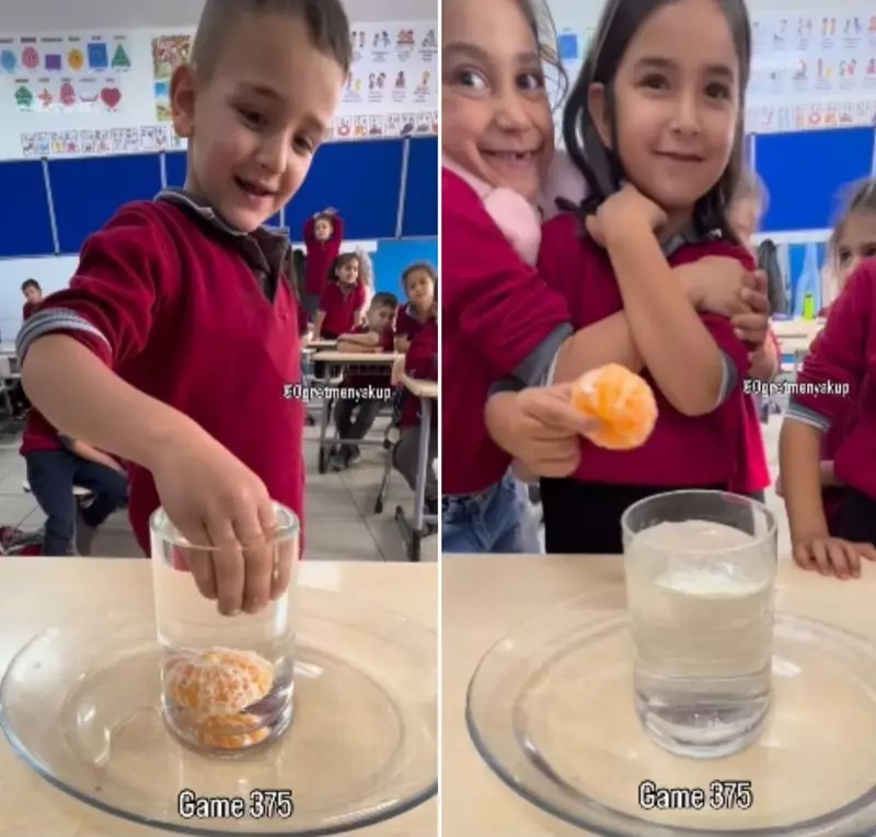 Think You're Smarter Than These Kids? The Viral Orange Challenge Will Reveal The Truth!
