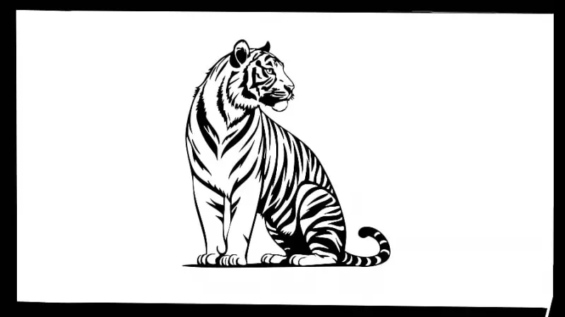 Tiger Populations Overflow Habitats, Sparking Human Conflict