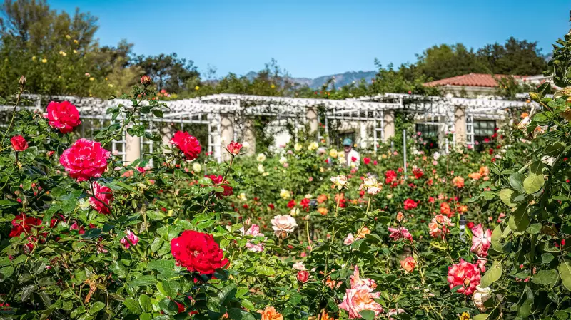 Top 5 Must-Visit Gardens in India for Ultimate Nature Therapy