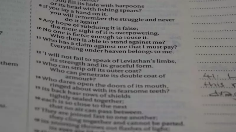 Top Words of 2025 Revealed: Digital Terms Dominate Global Vocabulary