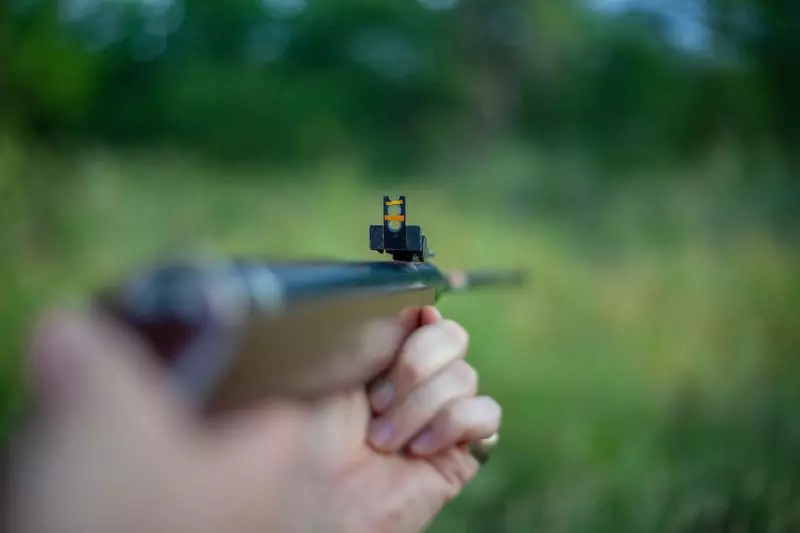 Tragedy in Amreli: Forest Tracker Killed During Lioness Tranquilization Attempt