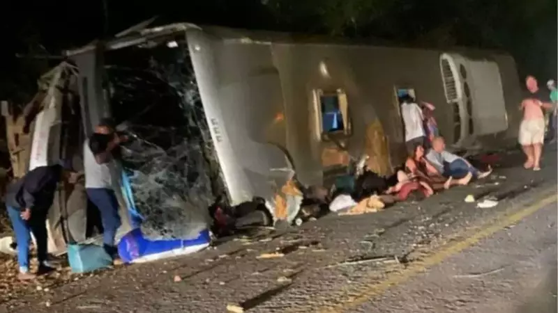 Tragic Bus Plunge in Brazil's Northeast Claims 15 Lives: Shocking Details Emerge