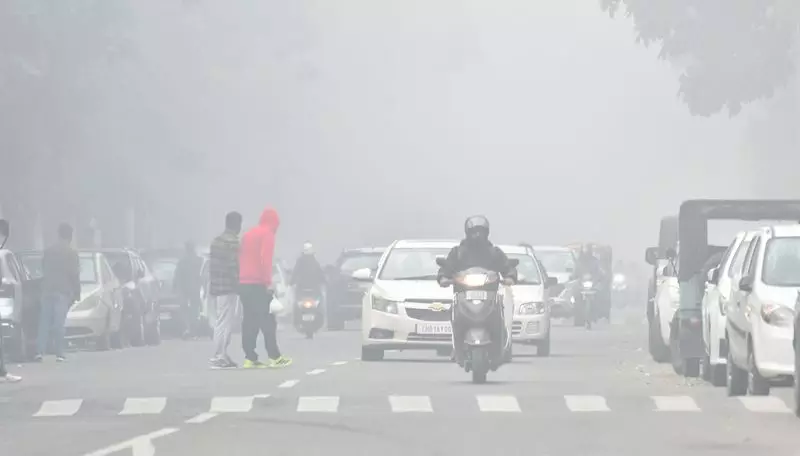 Tricity Shivers as Fog Plunges Day Temperatures by 5-6°C