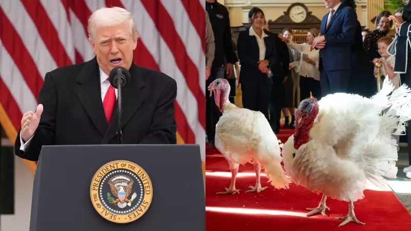 Trump Mocks Biden, Schumer, and Pelosi in Thanksgiving Turkey Pardon