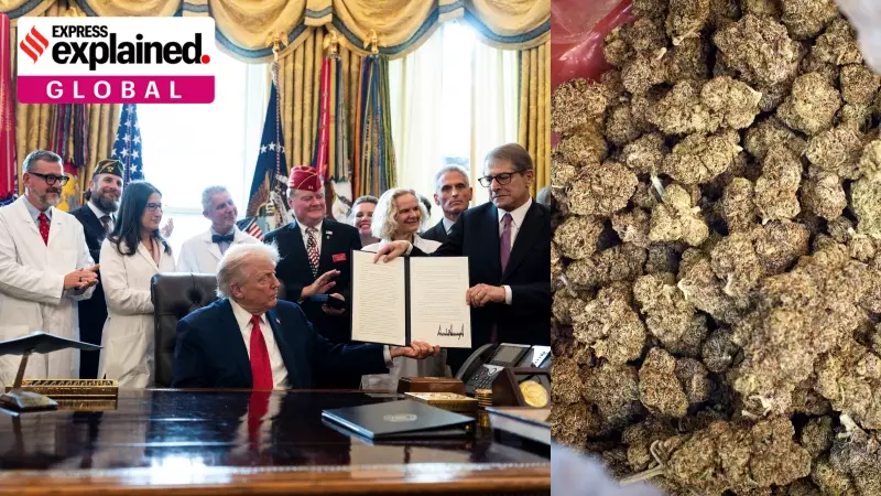 Trump Reclassifies Cannabis: A Milestone in US Drug Policy Reform
