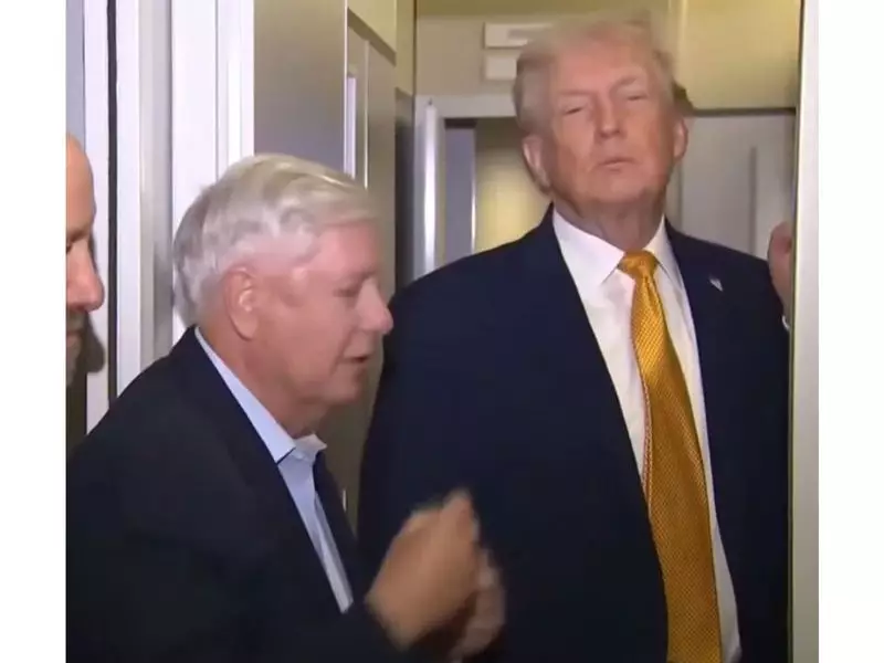 Trump Revisits Greenland Purchase, Denmark Calls It 'Absurd'