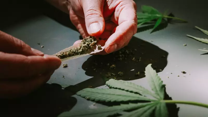 Trump Signs Order to Reclassify Cannabis, Easing Federal Restrictions