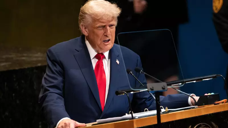 Trump's 'Real United Nations' Remark: A New US Immigration Narrative