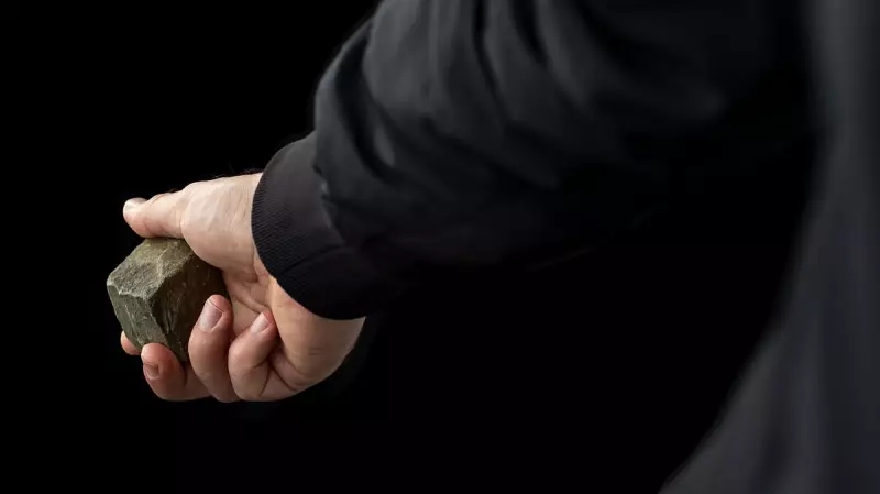 Two More Arrested in Delhi's Turkman Gate Stone-Pelting Case; Total 13 Held