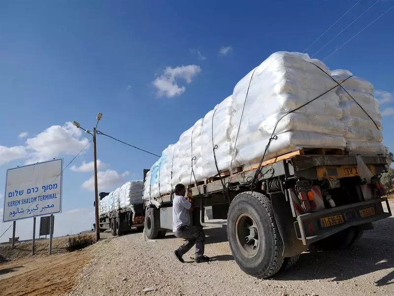 UAE's 244th Humanitarian Convoy Reaches Gaza Amid Crisis