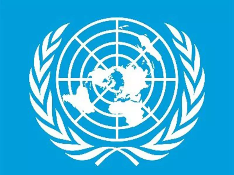 UN Report: Global Economy Resilient but Trade Tensions, Fiscal Strains Cloud Outlook