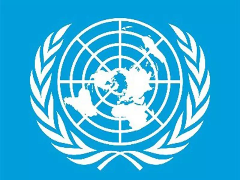 UN Report: India to Grow at 6.6% in 2026, East & South Asia Resilient