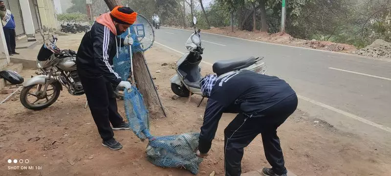 Unauthorised Sterilisation of Stray Dogs Sparks Outrage in Tarn Taran