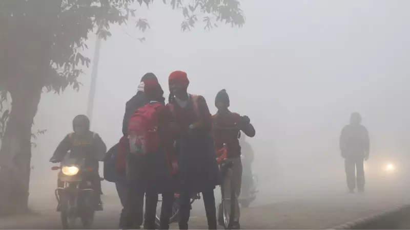 UP Fog Alert: IMD Issues Orange, Yellow Warning for 40 Districts, Visibility Below 50m