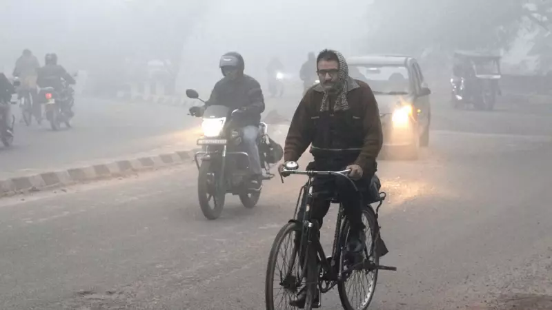 UP Shivers as Mercury Plunges Below 5°C in Kanpur, Etawah; Dense Fog to Persist
