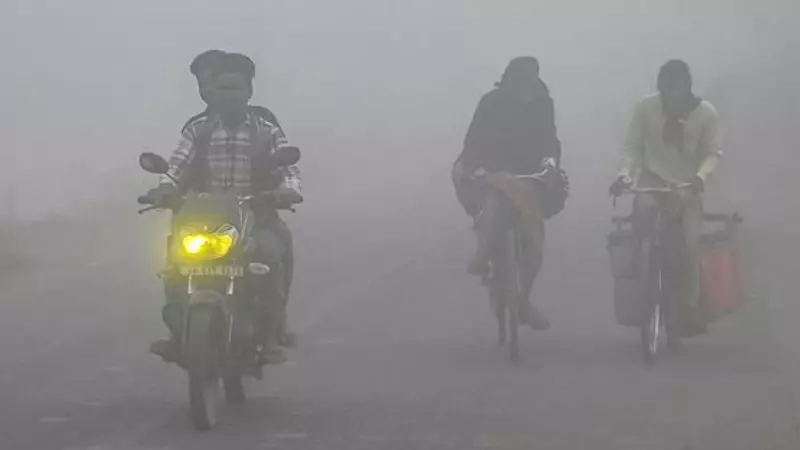 UP Weather Alert: Temperatures to Drop 2-4°C, Fog Forecast for Multiple Districts