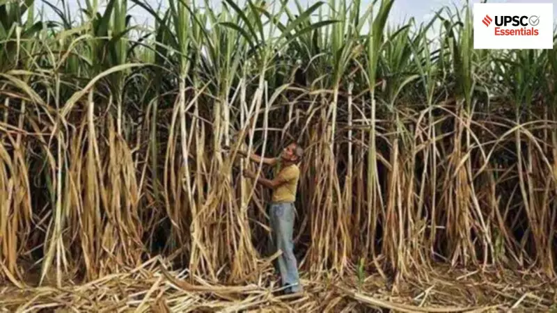 UPSC Mains GS-3 Mastery: Expert Strategies for Economics, Environment & Security Sections