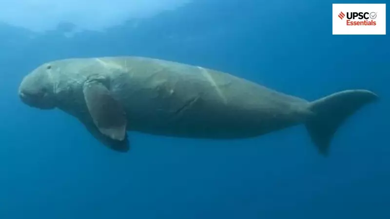 UPSC Quiz: Sea Cow Facts, Ozone Recovery & Volcanic Impact