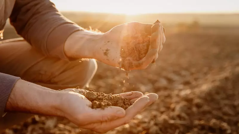 Urban Soil: The Unsung Hero Beneath India's Cities