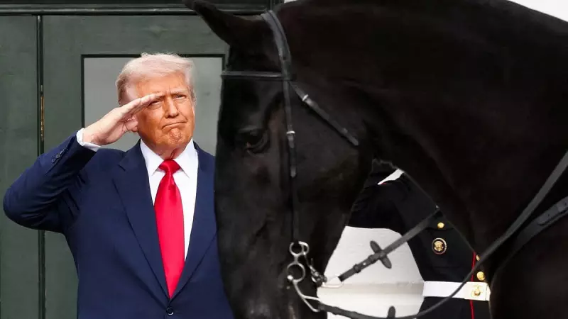 US House to Vote on Epstein Files Release as Trump Drops Opposition