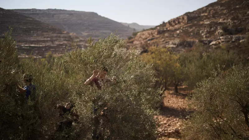 US Senators Challenge Biden's West Bank Policy in Dramatic Vote Showdown