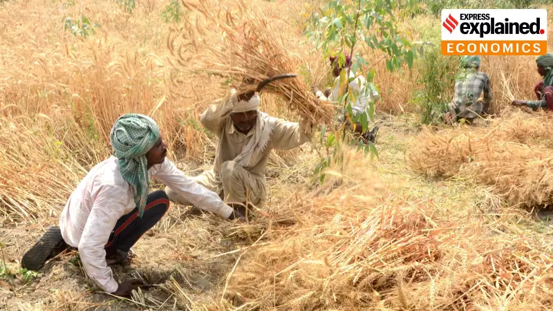 VB-G RAM G Bill's 60-Day Farm Season Pause: Does MGNREGA Really Cause Labour Shortage?