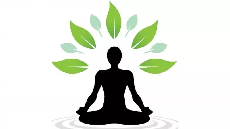 Walking the Path of Wisdom: Ancient Indian Philosophy for Modern Life