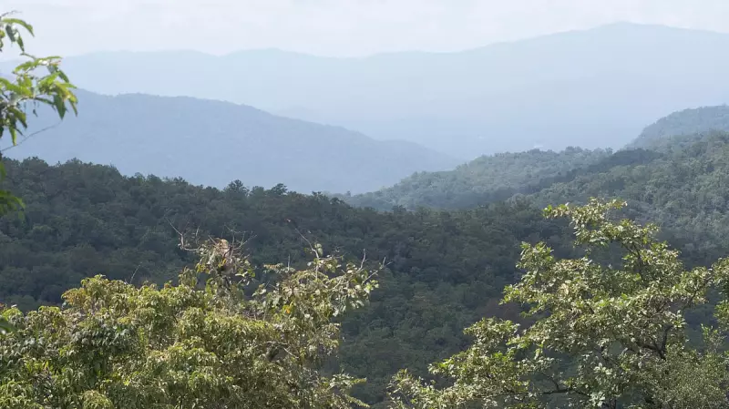 Western Gats Under Threat: Activist Urges Forest Department to Halt Mini Hydel Project in Bengaluru