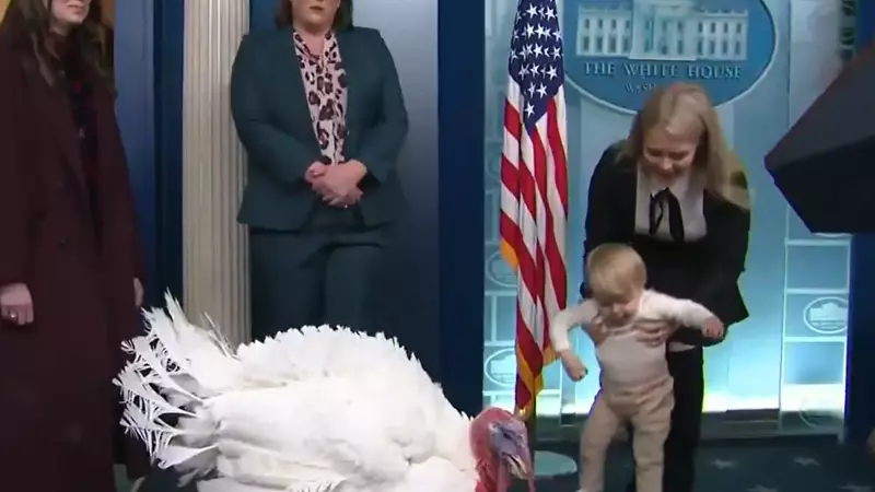 White House Turkey Pardoned by Trump Meets Press Secretary's Son