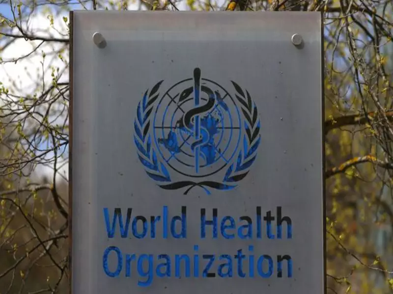 WHO's 2nd Global Summit Pushes Evidence-Based Traditional Medicine Integration