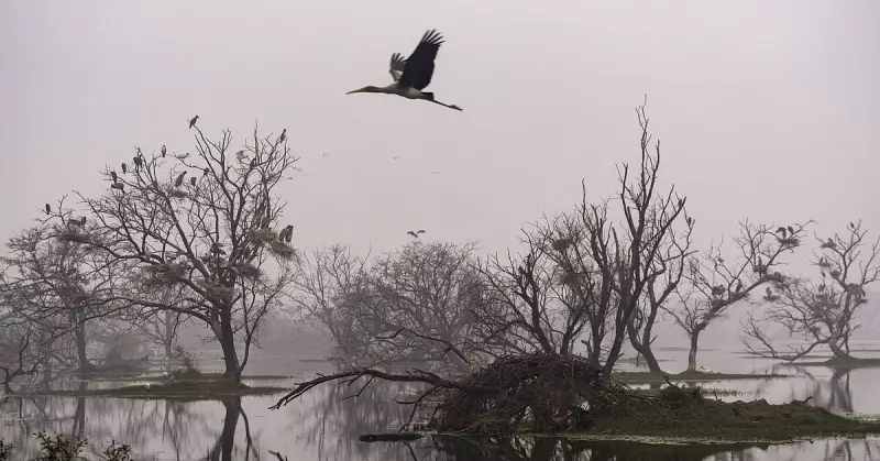 Winter Chaos in Manali: Tourists Stranded in Massive Traffic Jam
