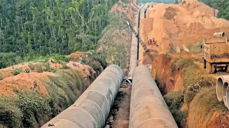 Yettinahole Project: Centre Rejects Karnataka's Forest Land Violation Defense