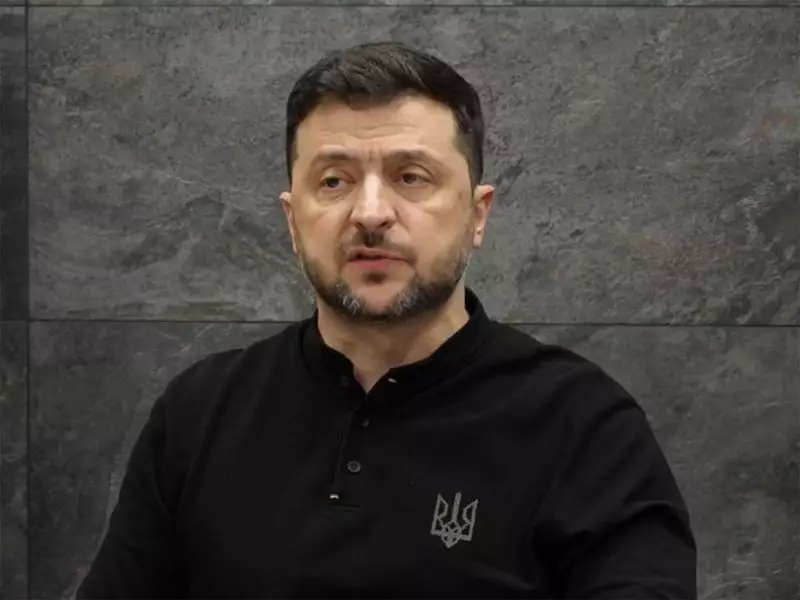 Zelenskyy: Peace Decisions Depend on Kyiv's Partners, Not Just Ukraine