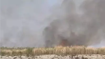 Assam's 'Molai Forest' Set Ablaze: Vandals Target Padma Shri Awardee's Legacy