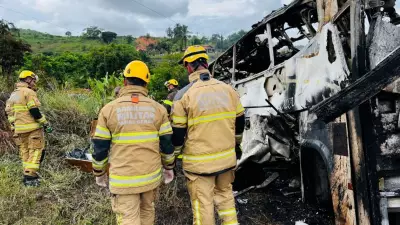 Brazil Bus Crash: 14 Killed in Head-On Collision with Truck in Parana