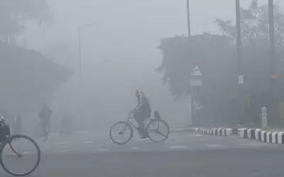 Chandigarh, Mohali, Panchkula Shrouded in Dense Fog, IMD Issues Orange Alert