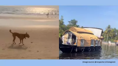 Foreign Traveller Rates Top South Indian Destinations: Goa Scores 9/10