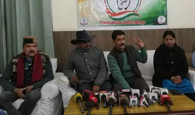 Hamirpur District Congress Committee Executive to Be Formed Soon