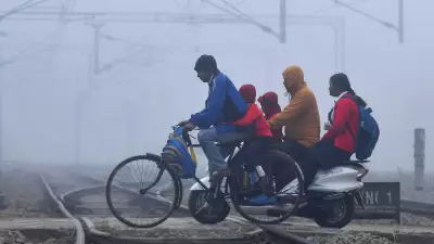IMD Issues Dense Fog & Cold Wave Alert for North India; Rain Forecast in South