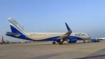 IndiGo Flight Makes Emergency Landing in Varanasi After Bird Strike, All Safe